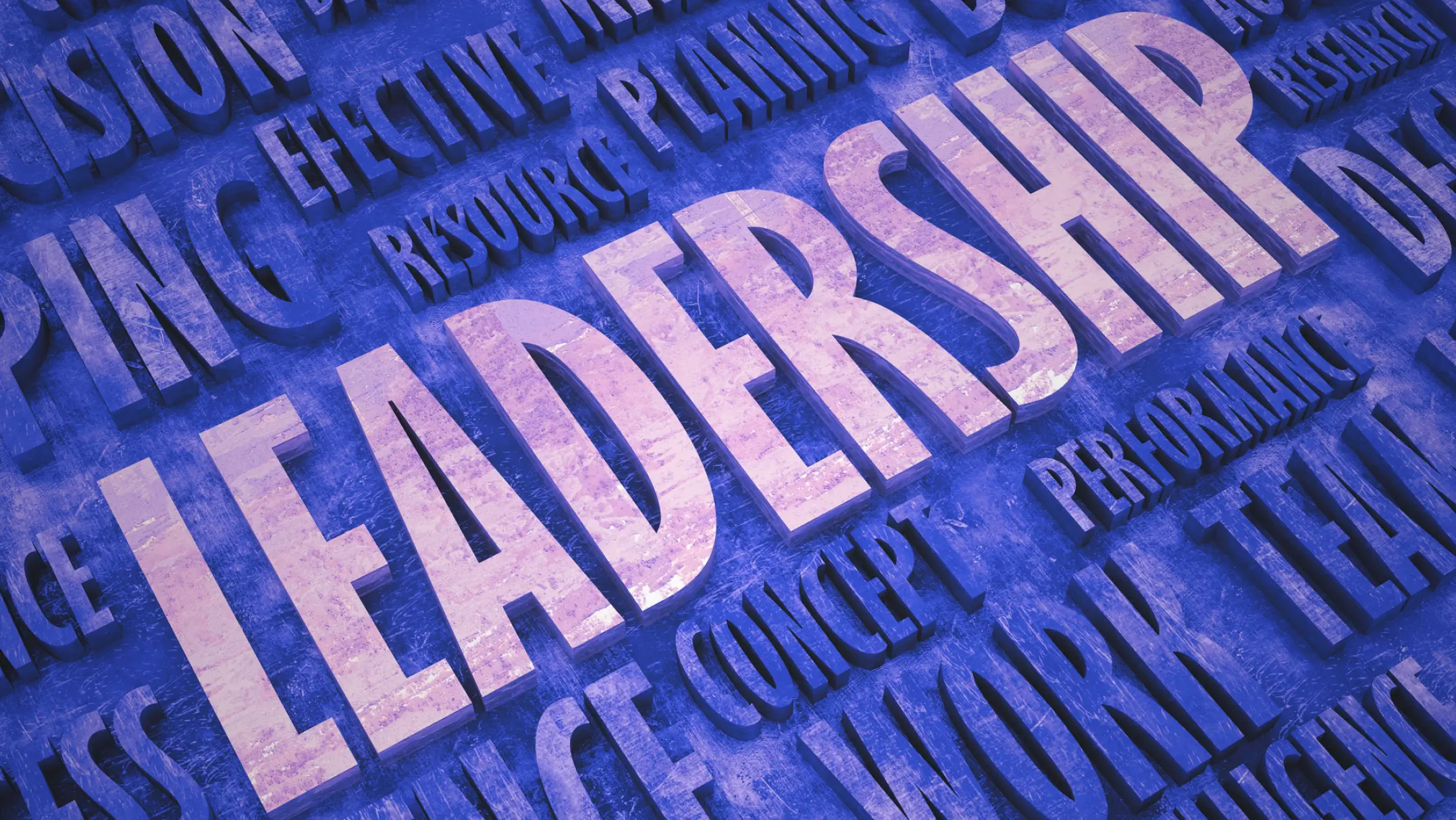 leadership programme